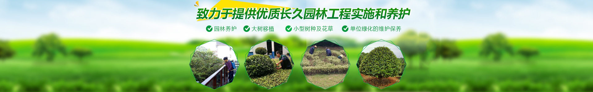 長(zhǎng)沙市亮宇園林綠化工程有限公司_長(zhǎng)沙園林養(yǎng)護(hù)|長(zhǎng)沙大樹(shù)移植|小型樹(shù)種及花草哪里的好