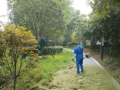 長沙市亮宇園林綠化工程有限公司,長沙園林養(yǎng)護,長沙大樹移植,小型樹種及花草哪里的好